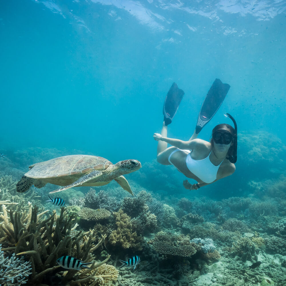 特別プランにご案内